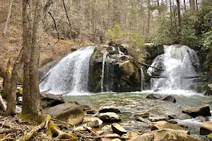 Turtletown Creek Lower Falls image