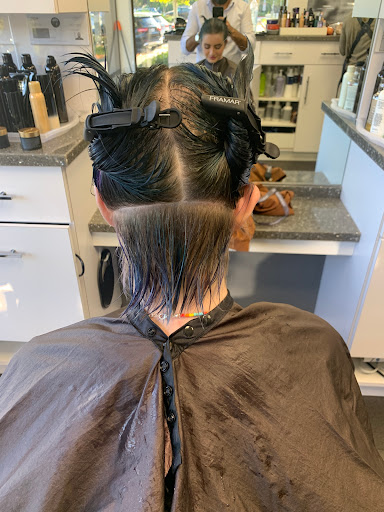 Hair Salon «Salon One 50», reviews and photos, 3189 Danville Blvd, Alamo, CA 94507, USA
