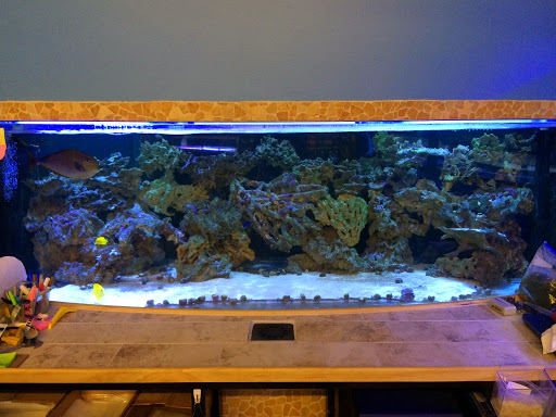 Pet Store «Woofs & Waves», reviews and photos, 5426 Arrowhead Pkwy E, Sioux Falls, SD 57110, USA