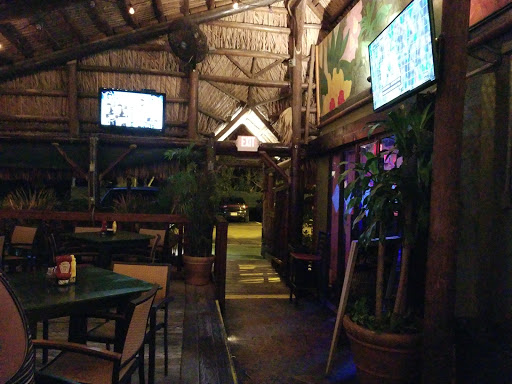 Green Iguana Bar & Grill