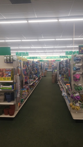 Dollar Store «Dollar Tree», reviews and photos, 3236 Orchard Lake Rd, West Bloomfield Township, MI 48324, USA