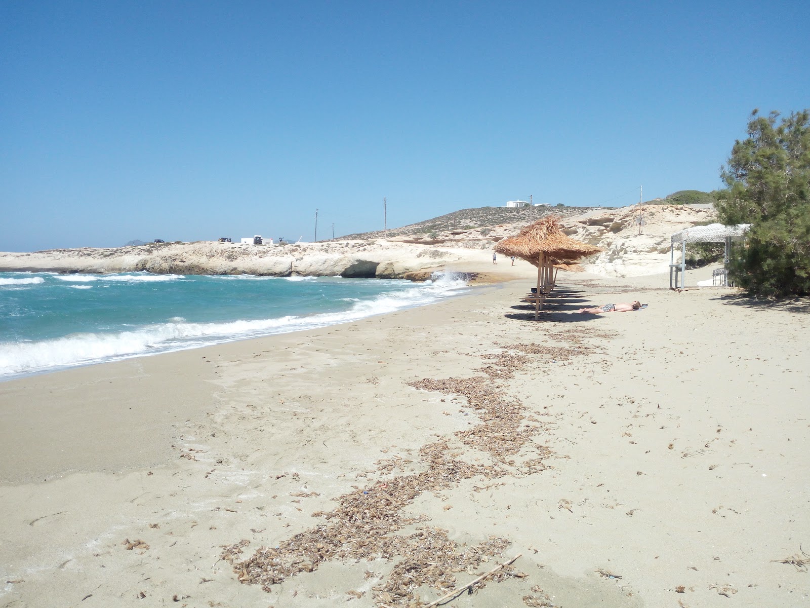 Foto de Mytakas beach - bom local amigável para animais de estimação para férias