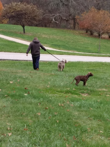 Park «Mt. Echo Park», reviews and photos, 202 Crestline Ave, Cincinnati, OH 45205, USA