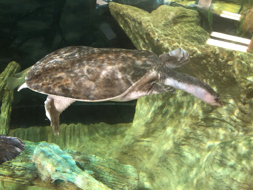 Aquarium «The River Center», reviews and photos, 805 US-1, Jupiter, FL 33477, USA