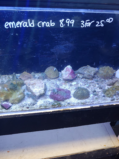 Pet Supply Store «House of Pets Inc», reviews and photos, 29500 Ford Rd, Garden City, MI 48135, USA