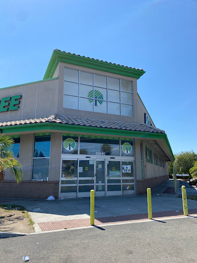 Dollar Store «Dollar Tree», reviews and photos, 1238 S Magnolia Ave, Anaheim, CA 92804, USA