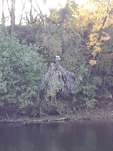 Park «Akin Riverside Park», reviews and photos, 1721 River Ave, Anoka, MN 55303, USA