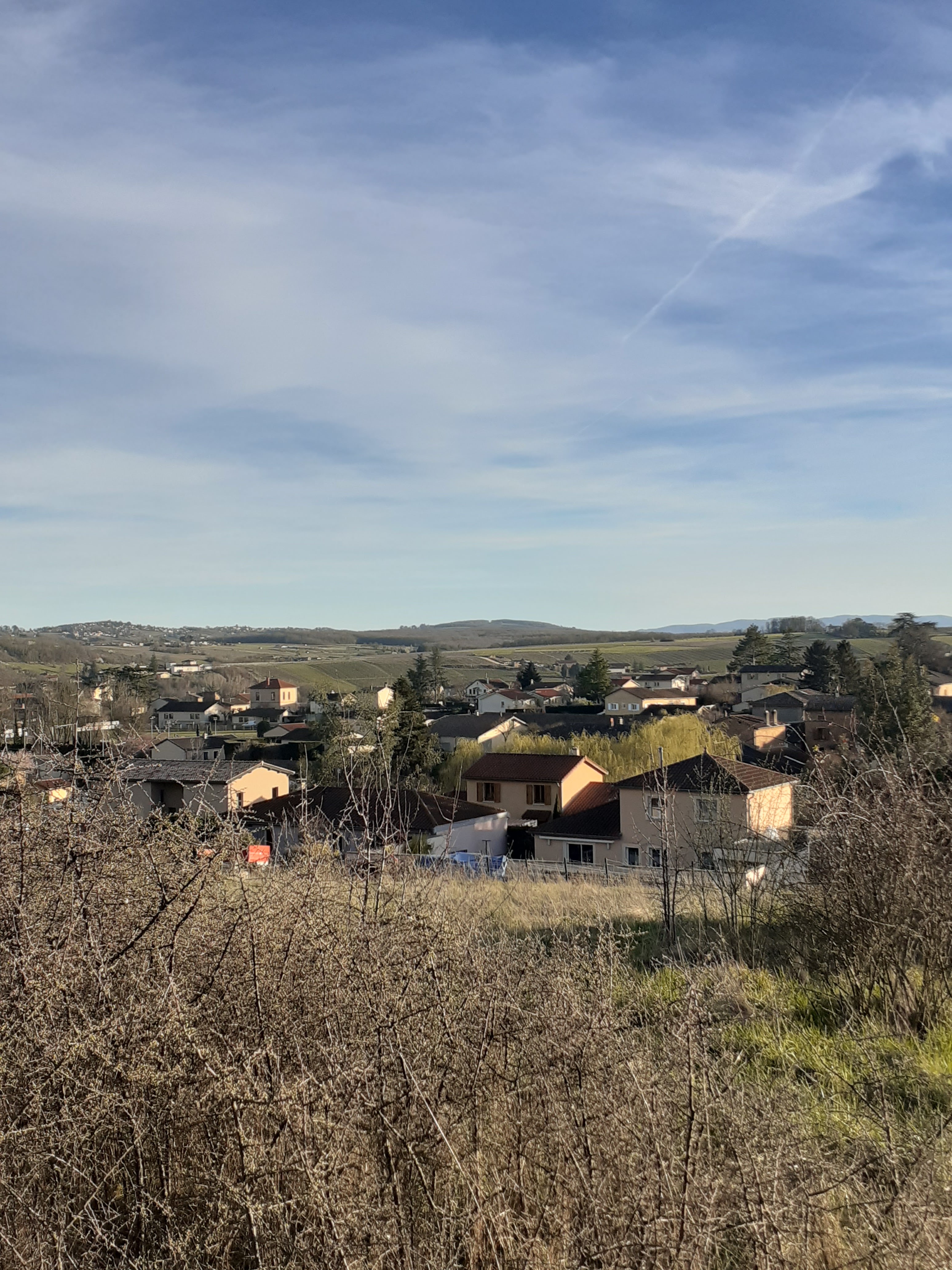 Photo n° 14 de l'avis de Hugo.o fait le 16/03/2023 à 16:58