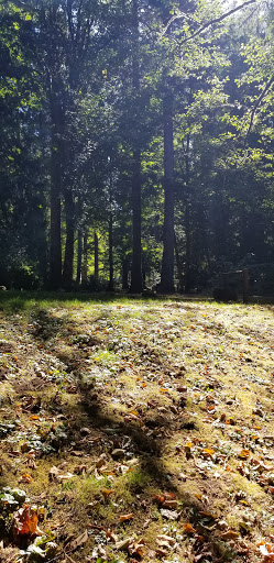 Park «Shadywood Park», reviews and photos, 535 NE 24th Ave, Hillsboro, OR 97124, USA