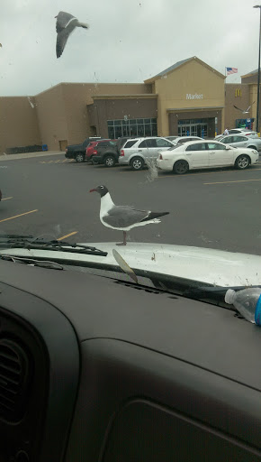 Department Store «Walmart Supercenter», reviews and photos, 1401 TX-100, Port Isabel, TX 78578, USA