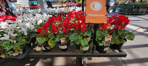 Electronics Store «Best Buy», reviews and photos, 13711 W Bell Rd, Surprise, AZ 85374, USA