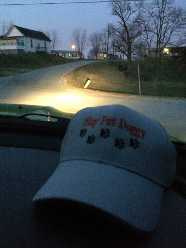 Fence Contractor «Stay Put Doggy», reviews and photos, 401 E Paul St, Westport, IN 47283, USA