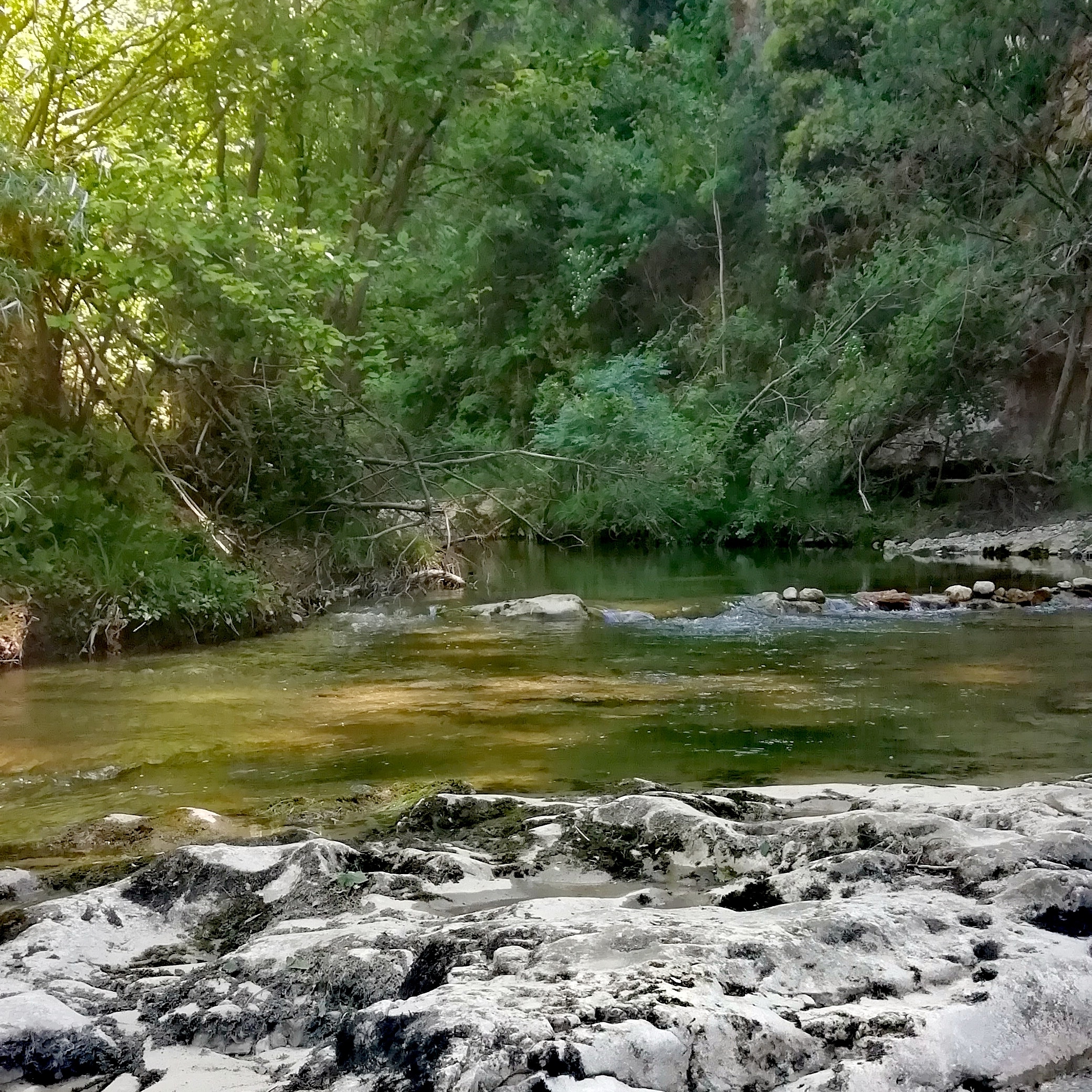 Photo n° 6 de l'avis de Angélique. fait le 02/06/2019 à 12:36