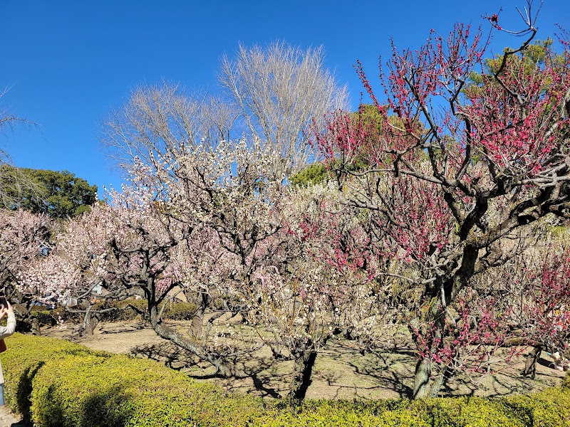 梅林寺 外苑