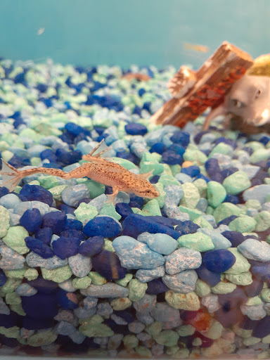 Pet Supply Store «PetSmart», reviews and photos, 1183 Berkshire Blvd, Wyomissing, PA 19610, USA