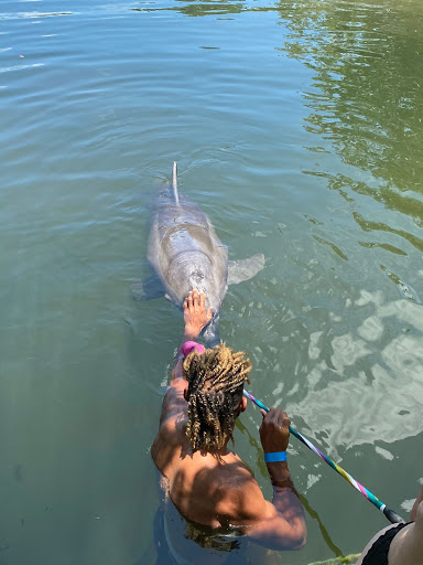 Tour Agency «Miami Swim With Dolphin Tours», reviews and photos, 247 SW 8th St, Miami, FL 33130, USA