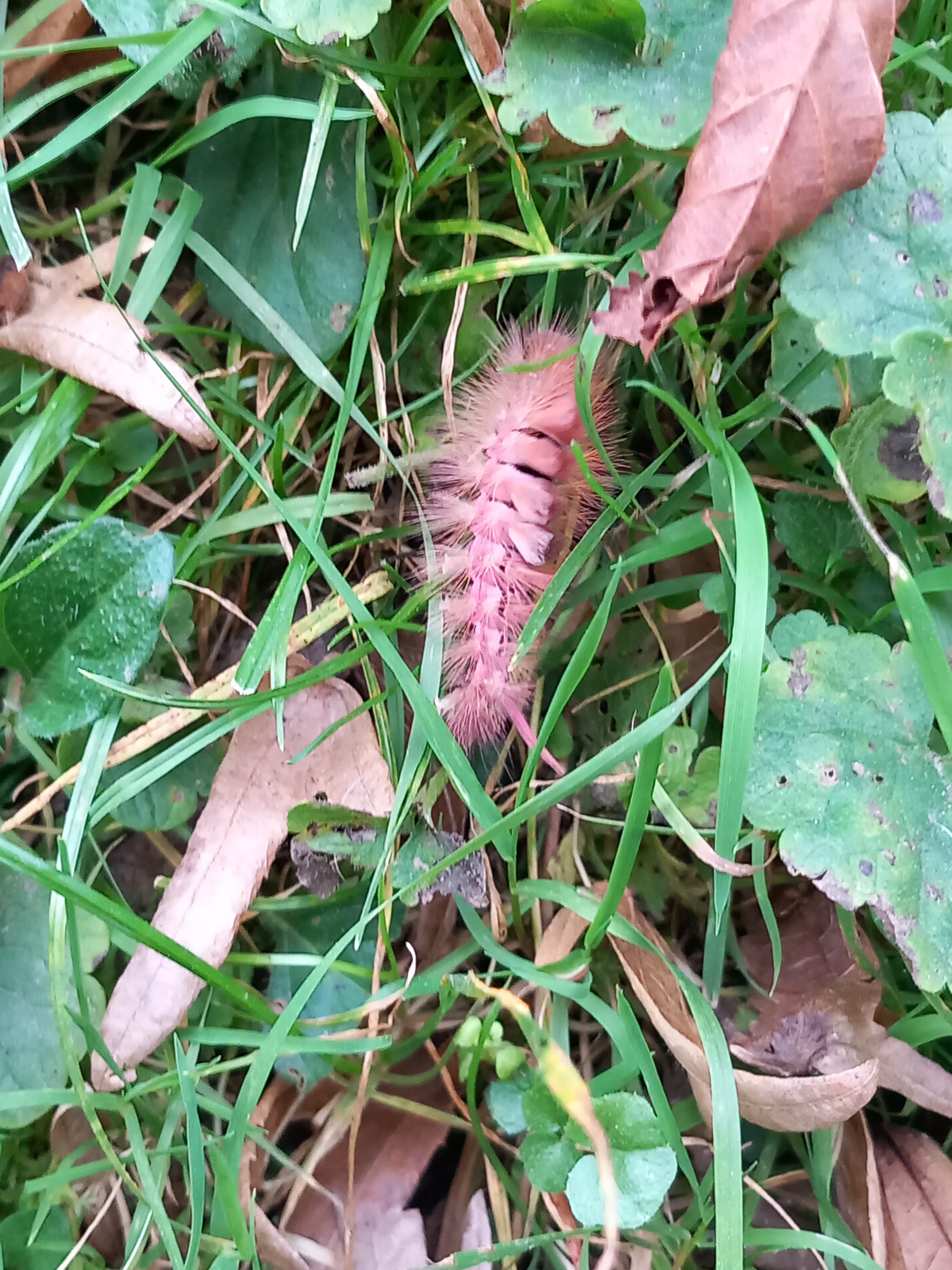 Photo n° 28 de l'avis de Julien.a fait le 11/10/2023 à 18:47