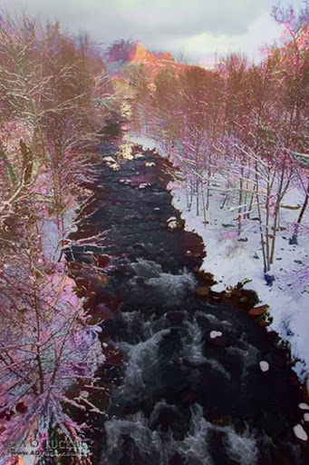 Art Gallery «Sedona Arts Center», reviews and photos