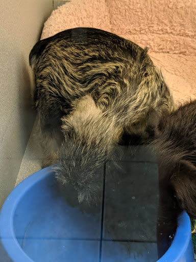 Pet Store «Animal Ark Pet Stores», reviews and photos, 33 Center St, Orem, UT 84057, USA