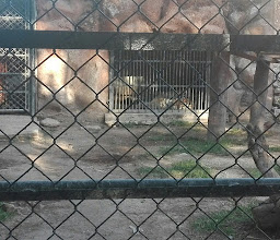 Zoológico de Mulsay Park photo