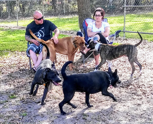 Park «Lincoln Avenue Community Park», reviews and photos, 1200 N Unser St, Mt Dora, FL 32757, USA