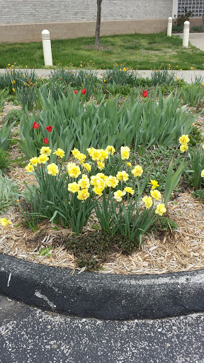 Art Museum «Springfield Art Museum», reviews and photos, 1111 E Brookside Dr, Springfield, MO 65807, USA