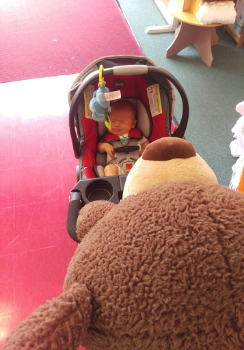 Toy Store «Toy Chest», reviews and photos, 975 Farmington Ave, West Hartford, CT 06107, USA