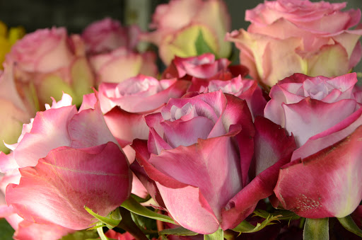 Florist «Mt Washington Florist», reviews and photos, 145 N Bardstown Rd, Mt Washington, KY 40047, USA