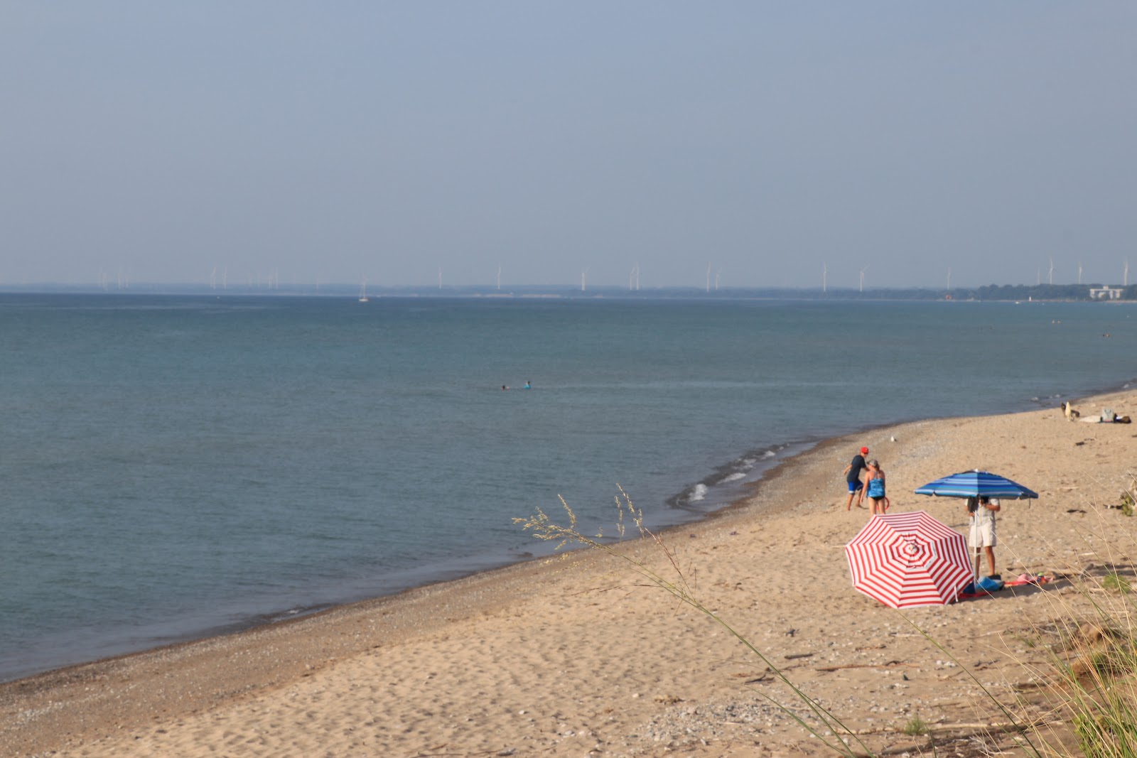 Pinery Dog Beach photo #8