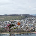Photo n°2 de l'avis de Arsham.o fait le 04/03/2023 à 15:50 sur le  Restaurant Burg Landshut à Bernkastel-Kues