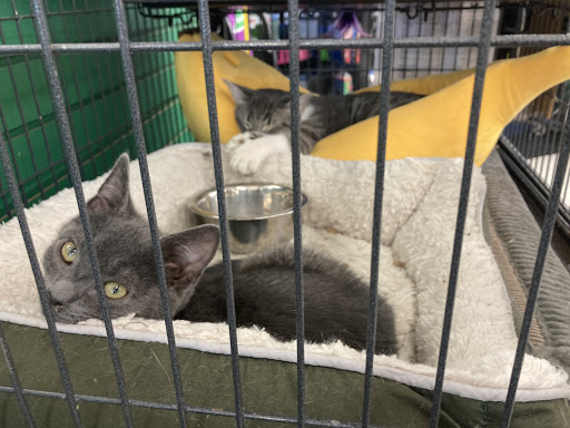 Pet Supply Store «Pet Supplies Plus», reviews and photos, 1380 W Lane Ave, Upper Arlington, OH 43221, USA