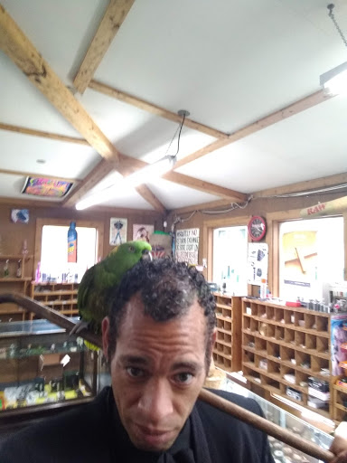 Boutique «Su Casa Boutique», reviews and photos, 1041 N Cedar St, Lansing, MI 48906, USA