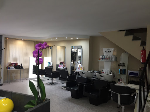 Información y opiniones sobre Saló Fashion de Gerona