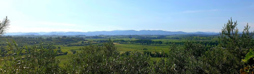 Domaine Le Roumégaïre - Huile d'olive à Roujan