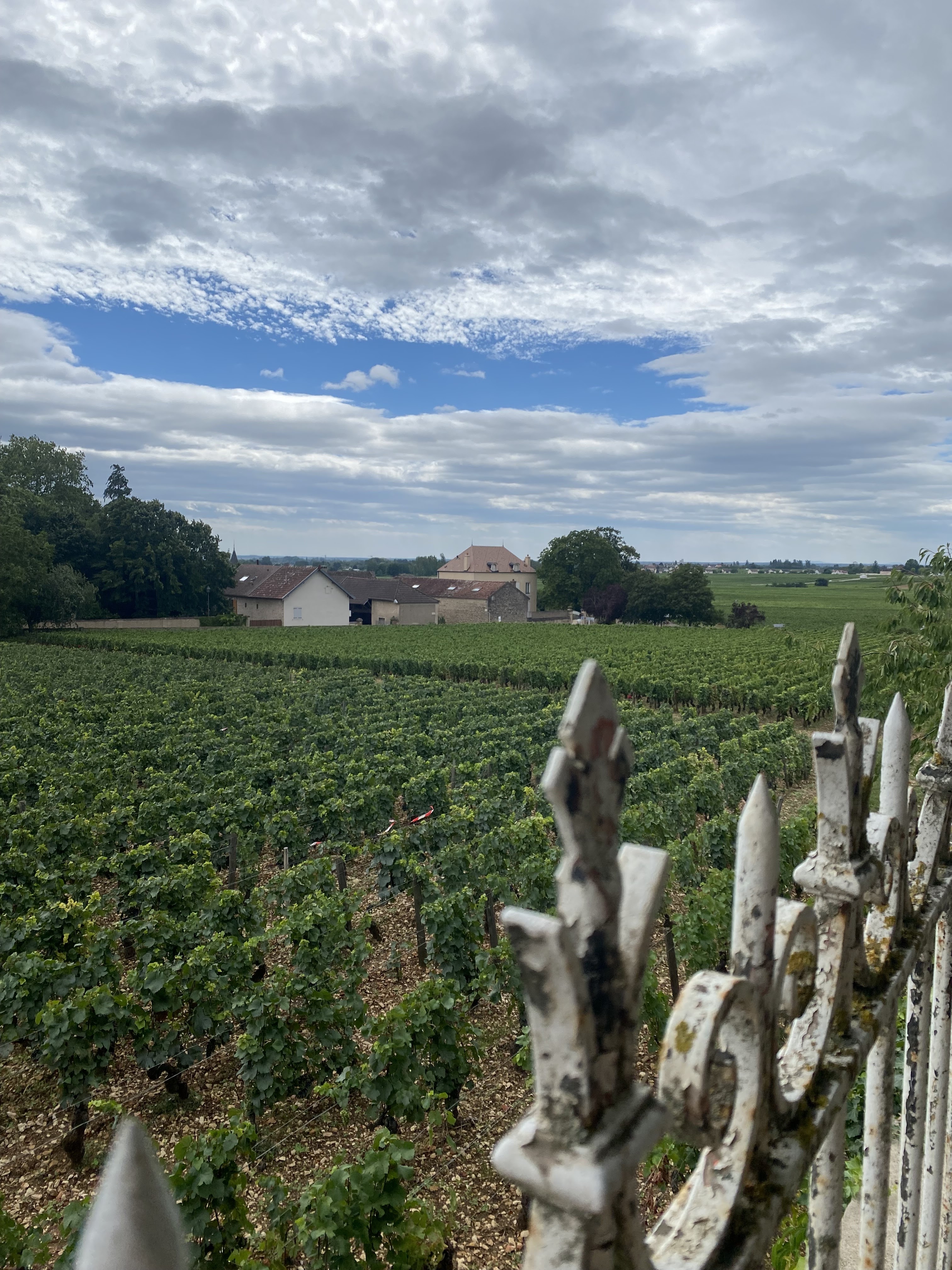 Photo n° 9 de l'avis de Alexandre.a fait le 13/08/2023 à 06:14
