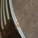 Photo n°3 de l'avis de Gaetano.l fait le 06/03/2023 à 07:14 sur le  Park Hotel Villa Maria à Albano Laziale