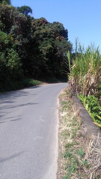 Photos of Stepan Colombia S.A.S