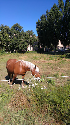 Henrion Peyroux Brigitte Marie Renee à Caromb