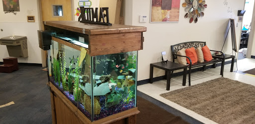 Preschool «Childtime of Dearborn, MI», reviews and photos, 6051 Mercury Dr, Dearborn, MI 48126, USA