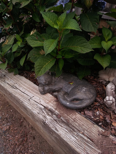 Florist «Butler Florist & Garden Center», reviews and photos, 416 Park Rd, West Hartford, CT 06119, USA