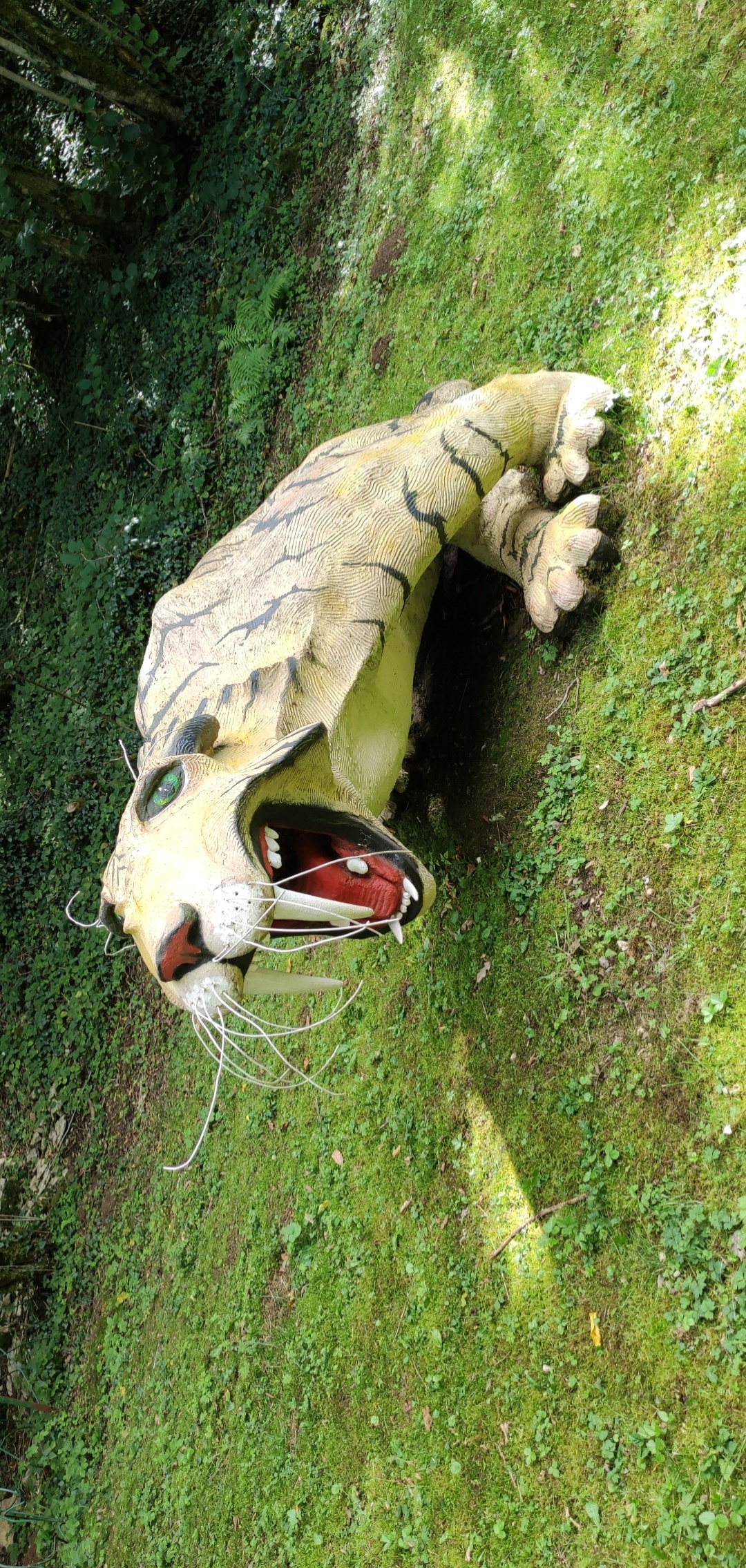 Photo n° 3 de l'avis de Akasha.l fait le 15/08/2021 à 23:23