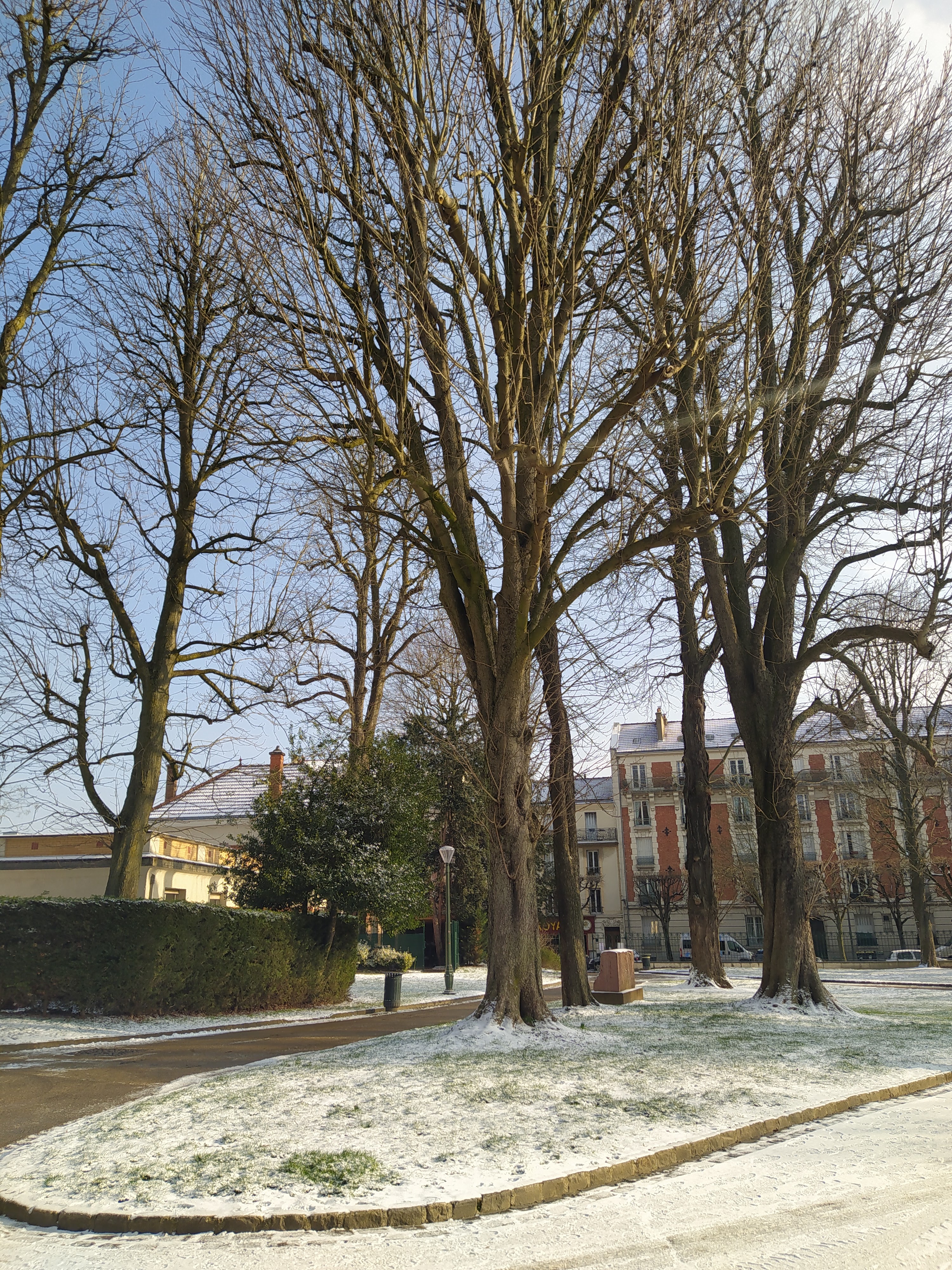 Photo n° 1 de l'avis de Lea.a fait le 13/02/2021 à 14:12