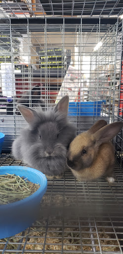 Department Store «Rural King», reviews and photos, 1920 Lube Way, Jasper, IN 47546, USA