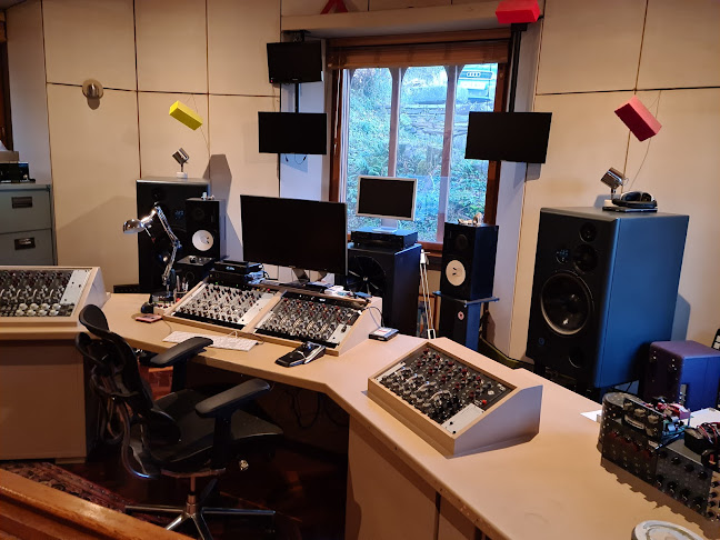Reviews of Mwnci Studios (Monkey) - recording studios uk in Aberystwyth - Music store