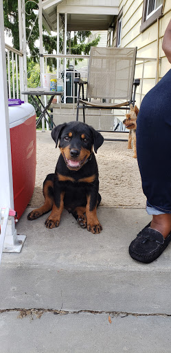 Pet Supply Store «Pet Supplies Plus», reviews and photos, 5229 Library Rd, Bethel Park, PA 15102, USA