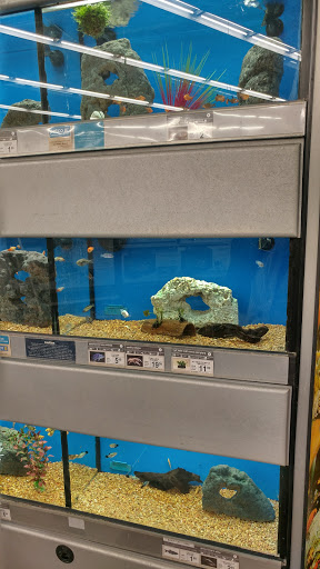 Pet Supply Store «Petco Animal Supplies», reviews and photos, 2515 Corridor Way #3, Coralville, IA 52241, USA