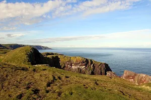 St Abb's Head National Nature Reserve image