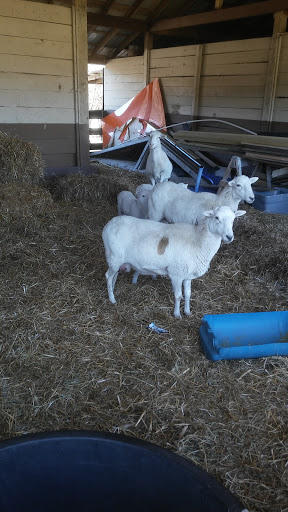 Wedding Venue «Rancho Alegre Farm», reviews and photos, 2225 Givens Rd, Dacula, GA 30019, USA