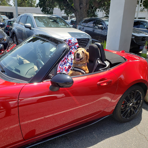 Car Dealer «Neftin Westlake Mazda», reviews and photos, 3550 Auto Mall Dr, Thousand Oaks, CA 91362, USA