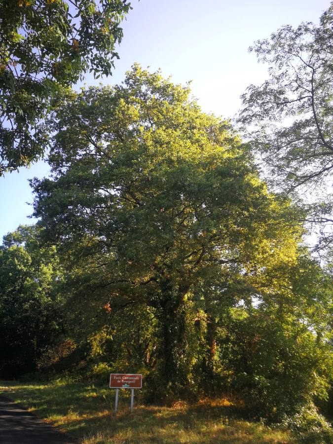 Photo n° 3 de l'avis de Delphine.e fait le 14/09/2019 à 22:02